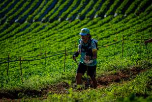 BIB: 507
                            <button type="button" onclick="openModal(19160659)" class="btn btn-primary btn-sm float-right btn-popup" data-toggle="modal" data-target=".modal-high-quality">
                        <i class="fas fa-shopping-cart"></i> Add to Cart
                    </button>
                                            <button type="button" onclick="isThisMe(19160659, true)" class="btn btn-success btn-sm float-right btn-popup btn-isme hidden" data-toggle="tooltip" data-placement="bottom" title="นี่คือรูปของคุณใช่ไหม คลิกที่นี่เพื่อเอาเข้าอัลบั้ม">
                        <i class="fas fa-plus"></i> Add to album
                    </button>
                    <button type="button" onclick="isThisMe(19160659, false)" class="btn btn-warning btn-sm float-right btn-popup btn-isnotme hidden">
                        <i class="fas fa-ban"></i> Remove from album
                    </button>